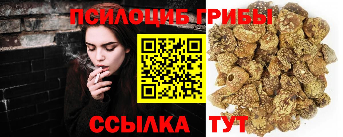 Находка  Псилоцибиновые грибы MAGIC MUSHROOMS  Вход с VPN  Галлюциногенные грибы ЛСД 